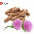 OEM Service Silymarin Capsules 40% Silymarin powder capsules